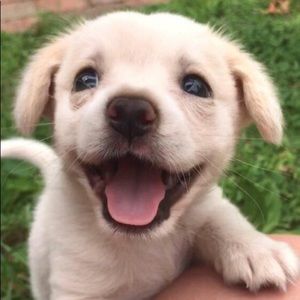 Meet your Posher, Maryssa